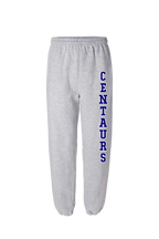 Sports Grey Sweatpants - Centaurs